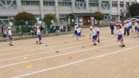 IMGP0382