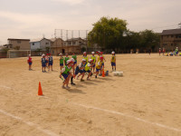 IMGP0851