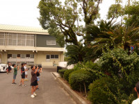 IMGP0003