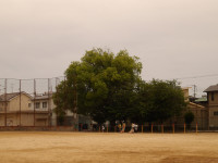 IMGP0022