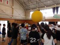 IMGP0308