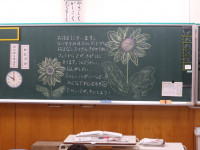 IMGP0458