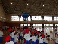 IMGP0045