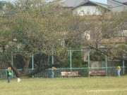 DSC01965