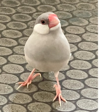 250626
