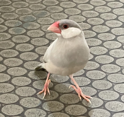 250628