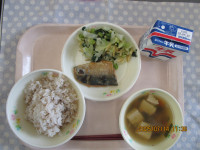 給食７月１４日
