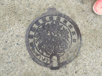 IMGP0388